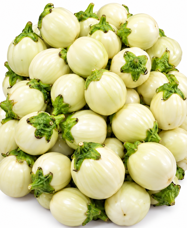 aubergine blanche aubergine blanche ronde aubergines blanches aubergine blanche fraîche aubergine ronde blanche aubergine fraîche aubergines fraîches légume frais légumes frais légumes frais en ligne acheter aubergine blanche achat aubergine blanche aubergine blanche à vendre aubergine ronde aubergine ivoire légume blanc aubergine africaine aubergine cuisine africaine aubergine cuisine méditerranéenne 1KG Aubergine Blanche Ronde Fraîche