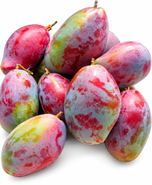 Mangue fraîche_ 1 pièce