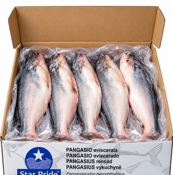 pangasius, pangasius entier, pangasius éviscéré, panga entier, panga éviscéré, poisson pangasius, poisson panga, pangasius surgelé, panga surgelé, poisson entier surgelé, poisson éviscéré surgelé, pangasius 5 kg, panga 5 kg, carton pangasius 5 kg, poisson surgelé 5 kg, Star Pride pangasius, poisson africain, poisson pour cuisine africaine, pangasius cuisine africaine