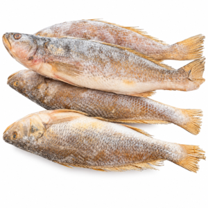 capitaine sénégalais en vrac capitaine Sénégal 11,99 € le kilo poisson capitaine au kilo poisson capitaine en vrac acheter capitaine sénégalais acheter poisson capitaine Sénégal poisson capitaine Sénégal au kilo capitaine du Sénégal au kilo poisson sénégalais en vrac poisson africain en vrac poisson africain au kilo capitaine pour poisson braisé poisson capitaine pour braisé capitaine pour grillade poisson capitaine à griller poisson capitaine à frire poisson africain pour sauce poisson sénégalais pour riz poisson africain pour attiéké capitaine poisson africain poisson exotique au kilo poisson africain épicerie acheter poisson africain en ligne