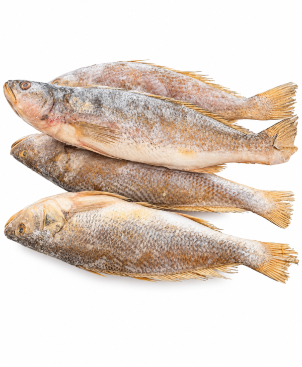capitaine sénégalais en vrac capitaine Sénégal 11,99 € le kilo poisson capitaine au kilo poisson capitaine en vrac acheter capitaine sénégalais acheter poisson capitaine Sénégal poisson capitaine Sénégal au kilo capitaine du Sénégal au kilo poisson sénégalais en vrac poisson africain en vrac poisson africain au kilo capitaine pour poisson braisé poisson capitaine pour braisé capitaine pour grillade poisson capitaine à griller poisson capitaine à frire poisson africain pour sauce poisson sénégalais pour riz poisson africain pour attiéké capitaine poisson africain poisson exotique au kilo poisson africain épicerie acheter poisson africain en ligne