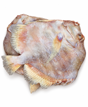 Soles congelées givrées sur fond blanc poisson disque, disque poisson, poisson disque surgelé, poisson disque congelé, achat poisson disque, prix poisson disque au kilo, poisson surgelé 7,90 euros le kilo, poisson entier surgelé, poisson pour cuisine africaine, poisson africain congelé, poisson à braiser, poisson à frire, poisson à griller, poisson en sauce africaine, poisson pour accompagnement de riz, poisson pour banane plantain, achat poisson surgelé en ligne, poissonnerie africaine, produits surgelés africains, KAIROSHYB Market.