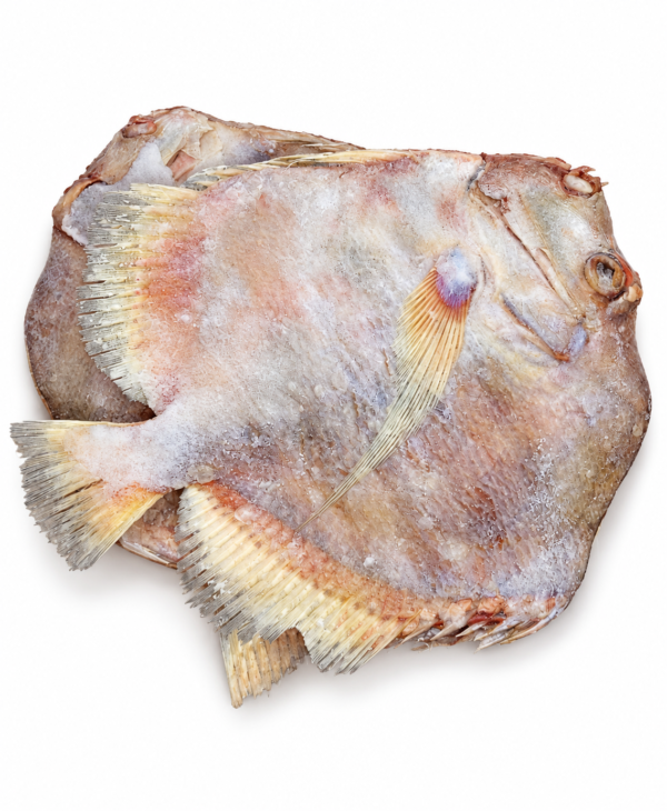 poisson disque, disque poisson, poisson disque surgelé, poisson disque congelé, achat poisson disque, prix poisson disque au kilo, poisson surgelé 7,90 euros le kilo, poisson entier surgelé, poisson pour cuisine africaine, poisson africain congelé, poisson à braiser, poisson à frire, poisson à griller, poisson en sauce africaine, poisson pour accompagnement de riz, poisson pour banane plantain, achat poisson surgelé en ligne, poissonnerie africaine, produits surgelés africains, KAIROSHYB Market.