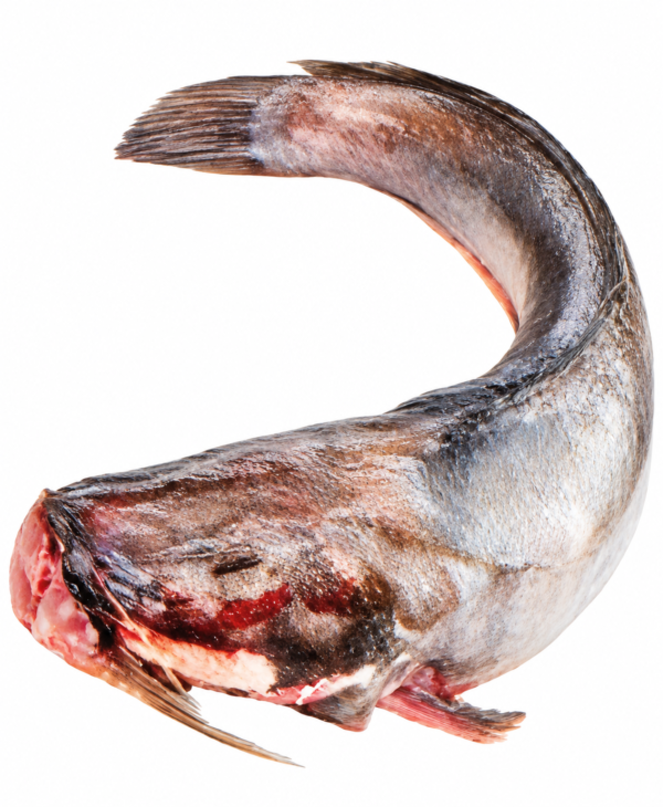 Mâchoiron surgelé, machoiron surgelé, poisson africain surgelé, poisson chat surgelé, poisson africain, poisson exotique surgelé, poisson africain entier, mâchoiron africain, machoiron africain, poisson pour cuisine africaine, poisson surgelé africain, poisson exotique, poisson pour sauce africaine, poisson braisé africain, poisson grillé africain, alimentation africaine, produits africains surgelés.